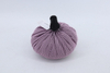 Pumpkin 2020012