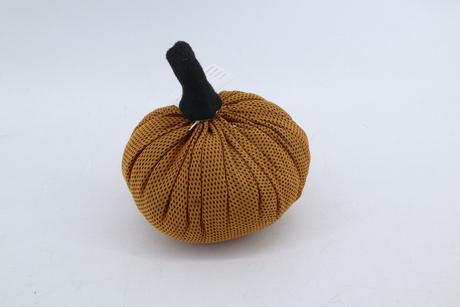 Pumpkin 2020010