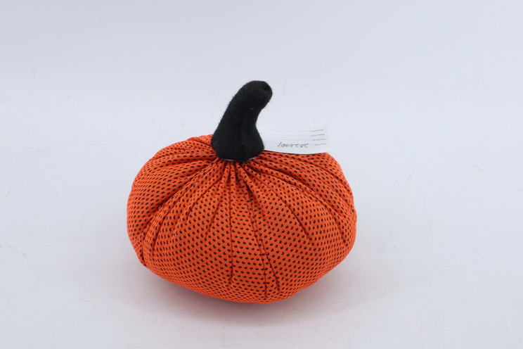 Pumpkin 2020001