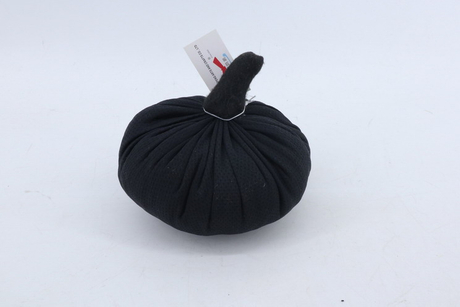 Pumpkin 2020009